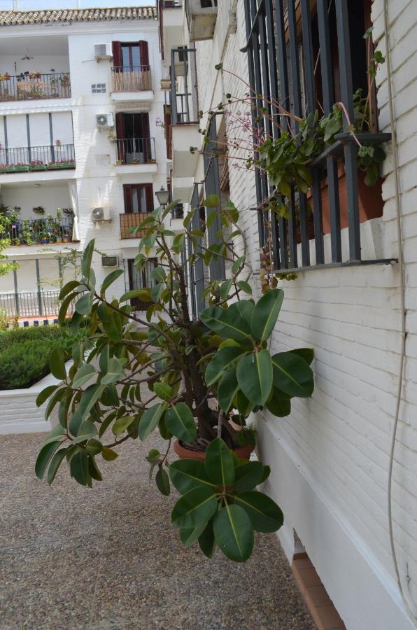 La Casa De Jose Manuel Daire Sevilla Dış mekan fotoğraf